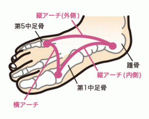 首要考量：對足部與身體的支撐性